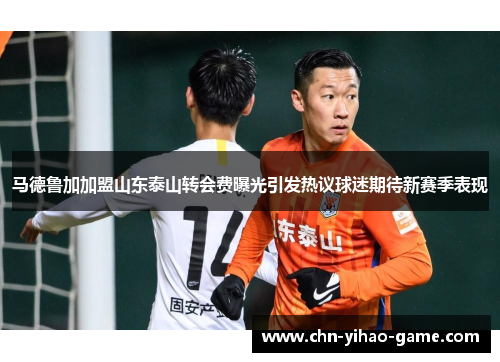 马德鲁加加盟山东泰山转会费曝光引发热议球迷期待新赛季表现