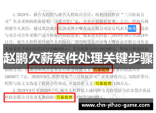 赵鹏欠薪案件处理关键步骤